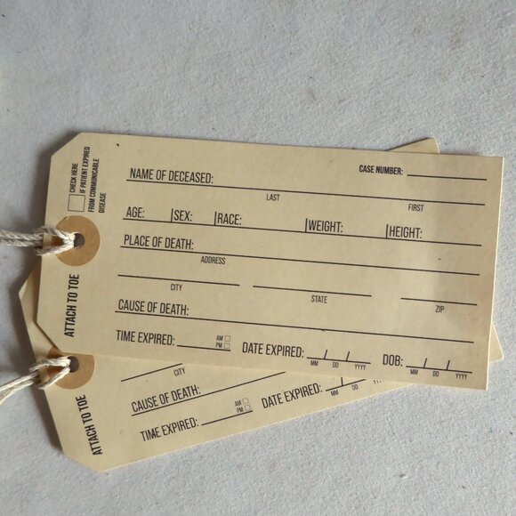 NEW HALLOWEEN GOTHIC ODDITY PROP VINTAGE UNDERTAKER MEDICAL BAG & SKELETON ARM - Picture 11 of 12